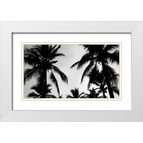Ciel de Palmiers White Modern Wood Framed Art Print with Double Matting by Braun Studio