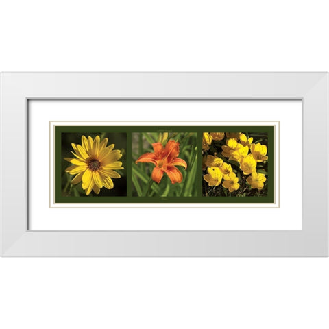 Fleurs White Modern Wood Framed Art Print with Double Matting by Pinsard, Laurent