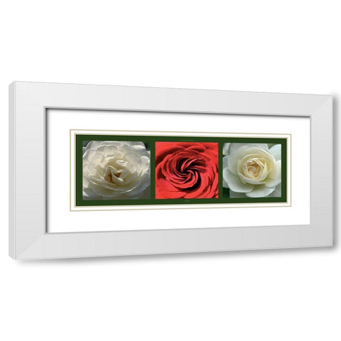 Roses II White Modern Wood Framed Art Print with Double Matting by Pinsard, Laurent
