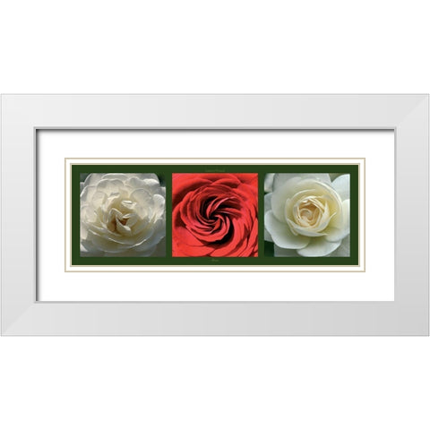 Roses II White Modern Wood Framed Art Print with Double Matting by Pinsard, Laurent