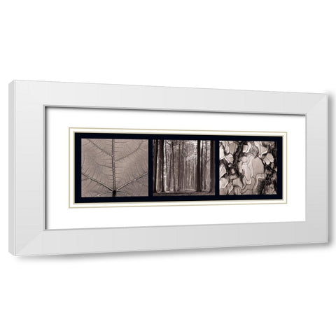 Arbres White Modern Wood Framed Art Print with Double Matting by Pinsard, Laurent