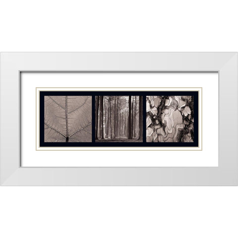 Arbres White Modern Wood Framed Art Print with Double Matting by Pinsard, Laurent