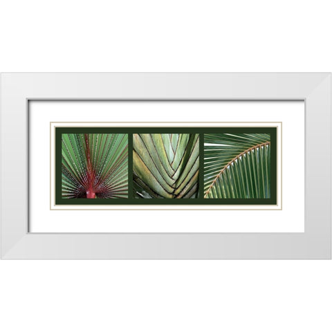 Palmiers White Modern Wood Framed Art Print with Double Matting by Pinsard, Laurent