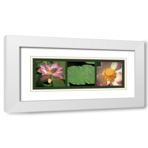 Lotus White Modern Wood Framed Art Print with Double Matting by Pinsard, Laurent
