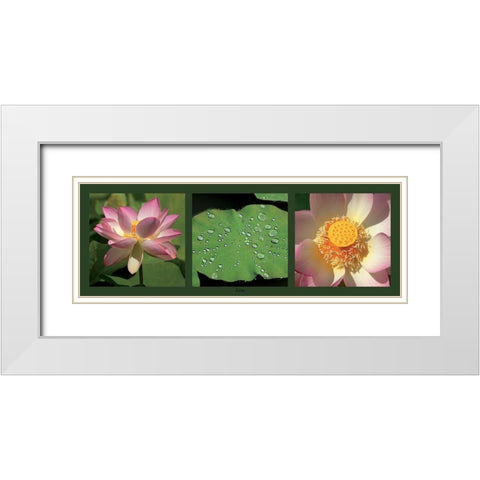 Lotus White Modern Wood Framed Art Print with Double Matting by Pinsard, Laurent