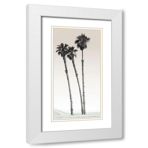 Californian Palm Trees White Modern Wood Framed Art Print with Double Matting by Braun Studio