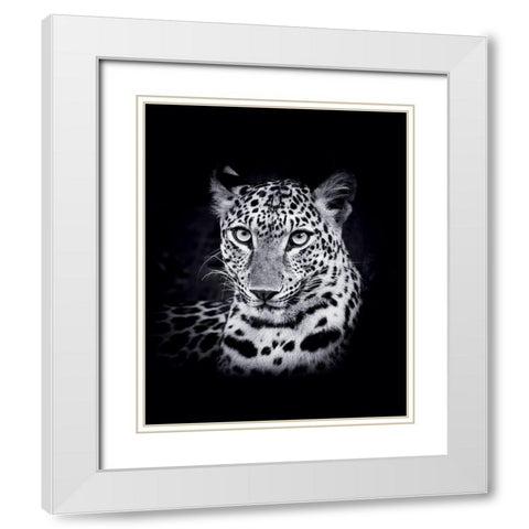Leopard White Modern Wood Framed Art Print with Double Matting by Braun Studio