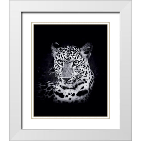 Leopard White Modern Wood Framed Art Print with Double Matting by Braun Studio