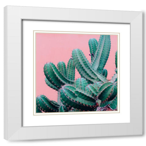 Braun Studio - Pink cactus White Modern Wood Framed Art Print with Double Matting by Braun Studio