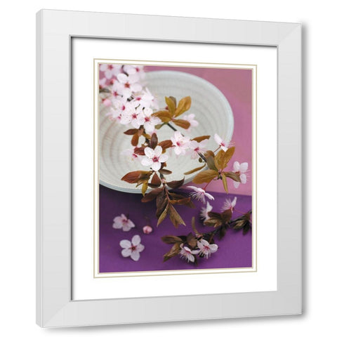 Composition Zen - Branche de Prunus sur coupe White Modern Wood Framed Art Print with Double Matting by Beyler, Catherine