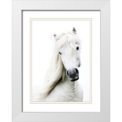 Crin Blanc White Modern Wood Framed Art Print with Double Matting by Blonde Attitude