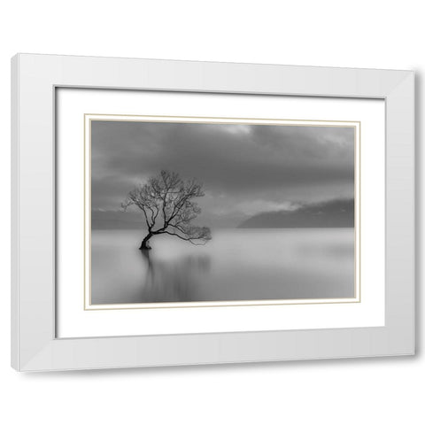 Larbre du lac White Modern Wood Framed Art Print with Double Matting by Braun Studio