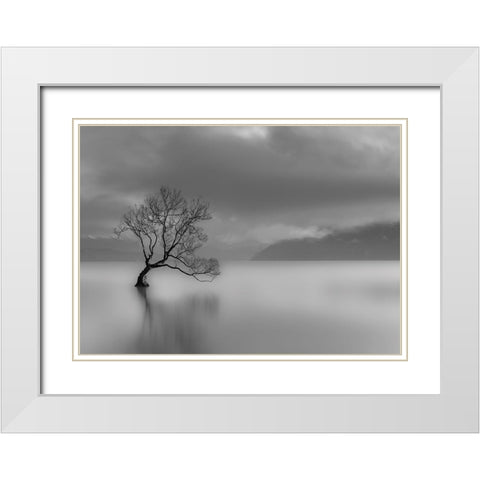 Larbre du lac White Modern Wood Framed Art Print with Double Matting by Braun Studio