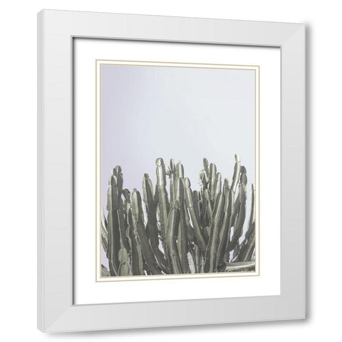 Cactus Cierges White Modern Wood Framed Art Print with Double Matting by Braun Studio