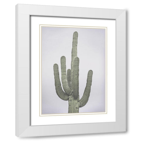 Cactus Totem White Modern Wood Framed Art Print with Double Matting by Braun Studio