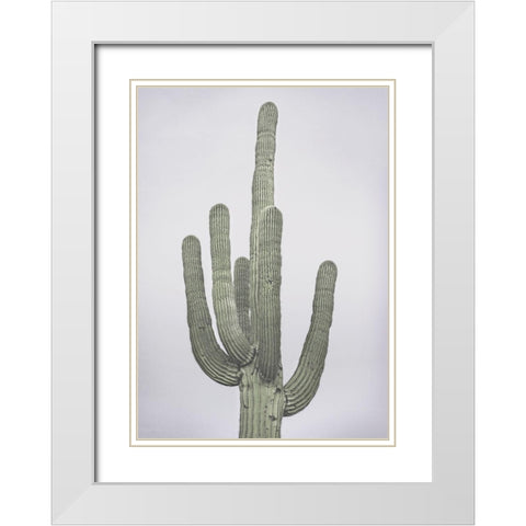 Cactus Totem White Modern Wood Framed Art Print with Double Matting by Braun Studio