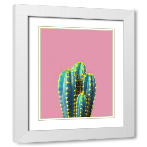 Braun Studio - Cactus epines jaunes White Modern Wood Framed Art Print with Double Matting by Braun Studio