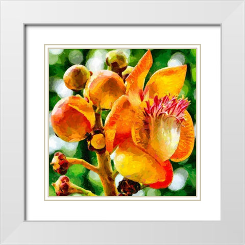 Bud in Bloom White Modern Wood Framed Art Print with Double Matting by Medeiros, Celito