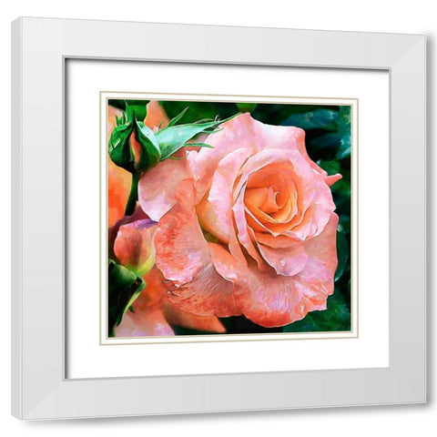 Big Rose White Modern Wood Framed Art Print with Double Matting by Medeiros, Celito