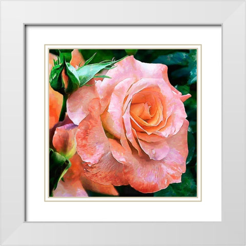 Big Rose White Modern Wood Framed Art Print with Double Matting by Medeiros, Celito