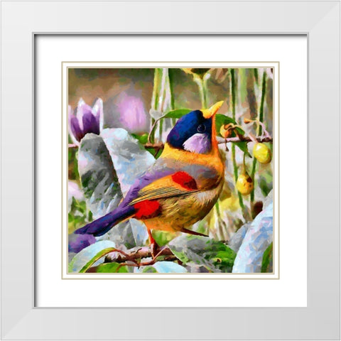 Bird on Olive Tree White Modern Wood Framed Art Print with Double Matting by Medeiros, Celito