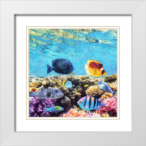 Fishes in Tropical Sea I White Modern Wood Framed Art Print with Double Matting by Medeiros, Celito