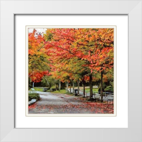 Autumn Park White Modern Wood Framed Art Print with Double Matting by Medeiros, Celito