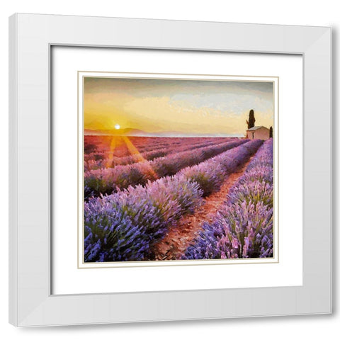 Lavender Field I White Modern Wood Framed Art Print with Double Matting by Medeiros, Celito