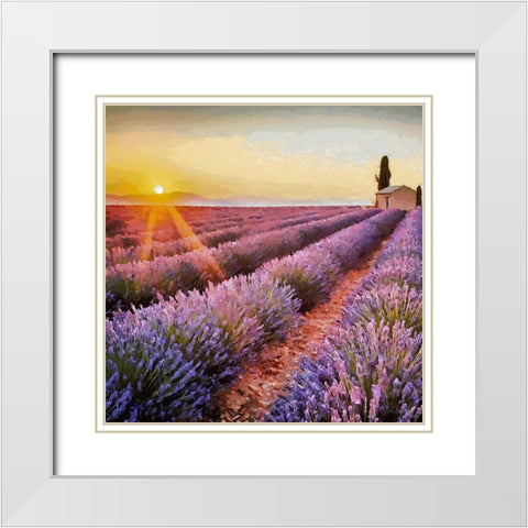 Lavender Field I White Modern Wood Framed Art Print with Double Matting by Medeiros, Celito