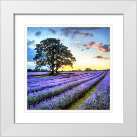 Lavender Field II White Modern Wood Framed Art Print with Double Matting by Medeiros, Celito