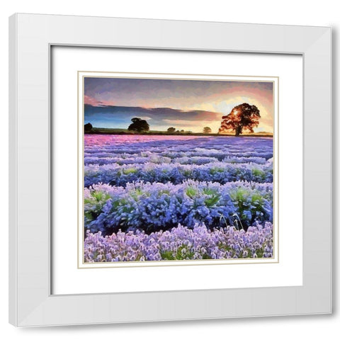 Lavender Field III White Modern Wood Framed Art Print with Double Matting by Medeiros, Celito