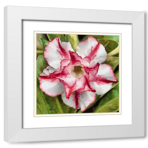 Orchids III White Modern Wood Framed Art Print with Double Matting by Medeiros, Celito