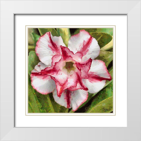 Orchids III White Modern Wood Framed Art Print with Double Matting by Medeiros, Celito