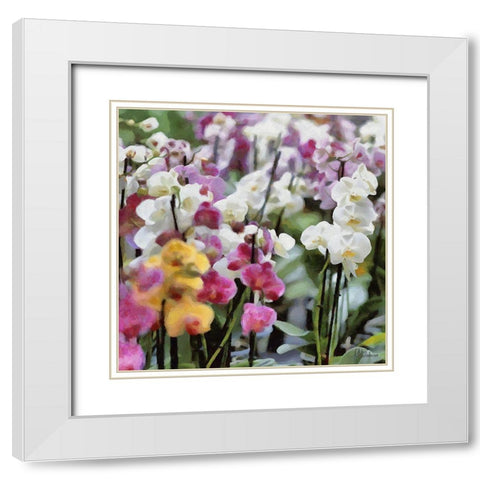 Orchids V White Modern Wood Framed Art Print with Double Matting by Medeiros, Celito