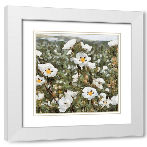 Cotton Field White Modern Wood Framed Art Print with Double Matting by Medeiros, Celito