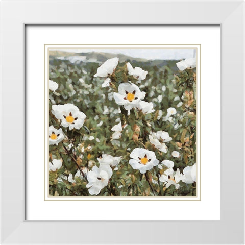 Cotton Field White Modern Wood Framed Art Print with Double Matting by Medeiros, Celito