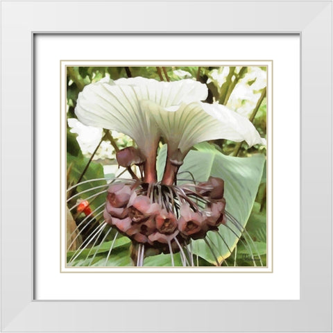 Orchids VI White Modern Wood Framed Art Print with Double Matting by Medeiros, Celito