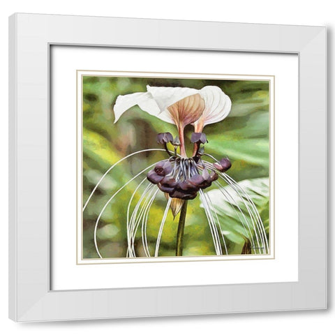 Orchids VII White Modern Wood Framed Art Print with Double Matting by Medeiros, Celito
