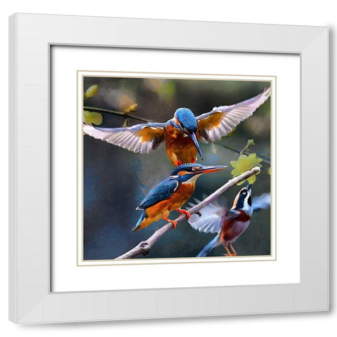 Three Kingfishers White Modern Wood Framed Art Print with Double Matting by Medeiros, Celito