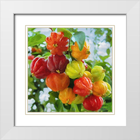 Exotic Fruit White Modern Wood Framed Art Print with Double Matting by Medeiros, Celito
