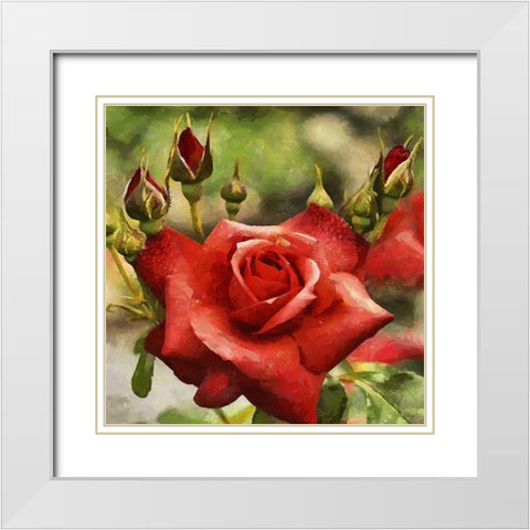 Rose with Buds White Modern Wood Framed Art Print with Double Matting by Medeiros, Celito
