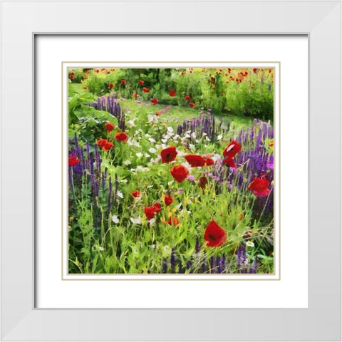 Lupins and Poppies White Modern Wood Framed Art Print with Double Matting by Medeiros, Celito