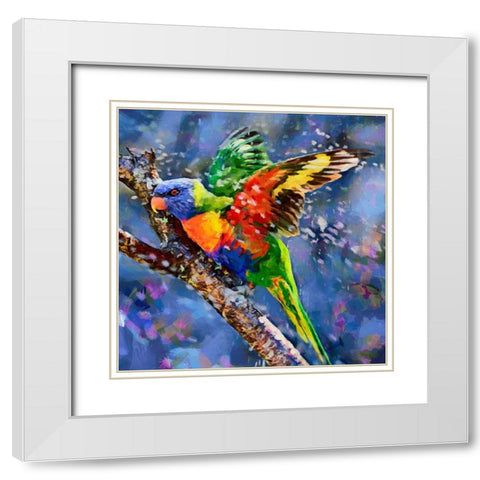Parrot with Blue Background White Modern Wood Framed Art Print with Double Matting by Medeiros, Celito