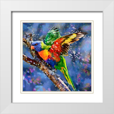Parrot with Blue Background White Modern Wood Framed Art Print with Double Matting by Medeiros, Celito