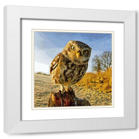 Owl in Winter White Modern Wood Framed Art Print with Double Matting by Medeiros, Celito