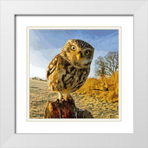Owl in Winter White Modern Wood Framed Art Print with Double Matting by Medeiros, Celito