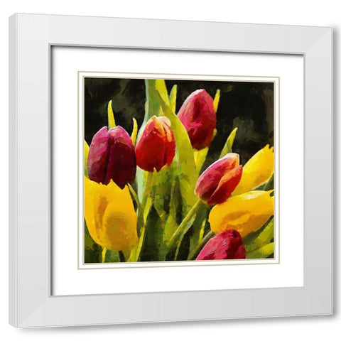 Red and Yellow Tulips White Modern Wood Framed Art Print with Double Matting by Medeiros, Celito