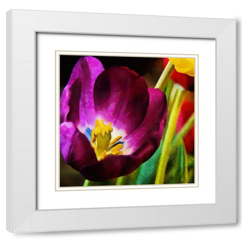 Purple Tulips White Modern Wood Framed Art Print with Double Matting by Medeiros, Celito