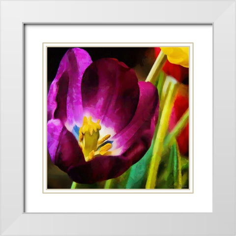 Purple Tulips White Modern Wood Framed Art Print with Double Matting by Medeiros, Celito