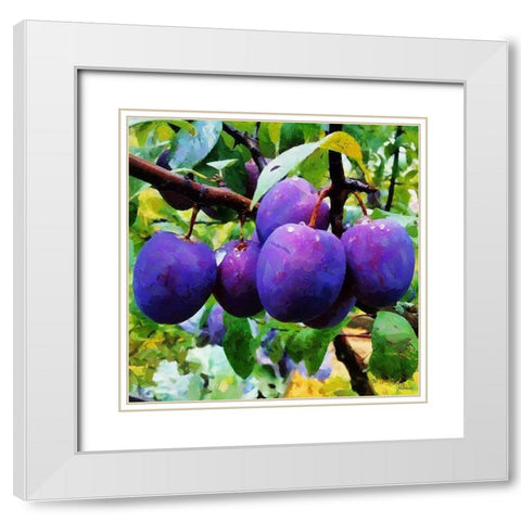Ripe Plums White Modern Wood Framed Art Print with Double Matting by Medeiros, Celito